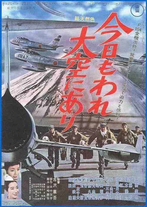 Tiger Flight poster