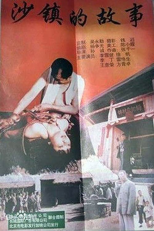 沙镇的故事 poster