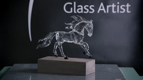 Glass Sculptures, Racing Pulley Systems, Inductors, Medicine Balls