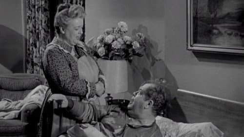 Aunt Bee the Warden