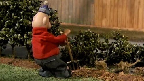 Hedgerow
