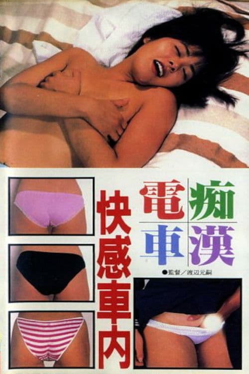Groper Train: Pleasure Inside the Car poster