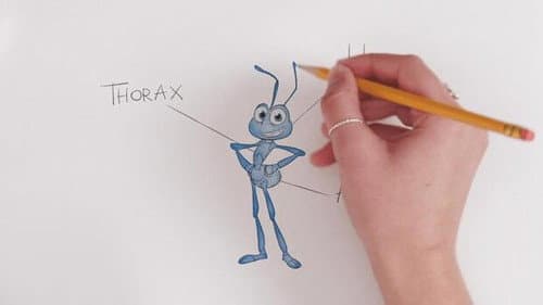 Flik