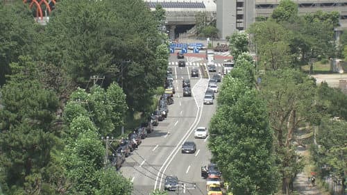 Tokyo Taxi Oasis