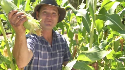 Episode 3 Autumn Planting, Basil, Fresh Food & Grapes