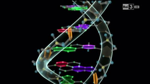The Surprises of DNA