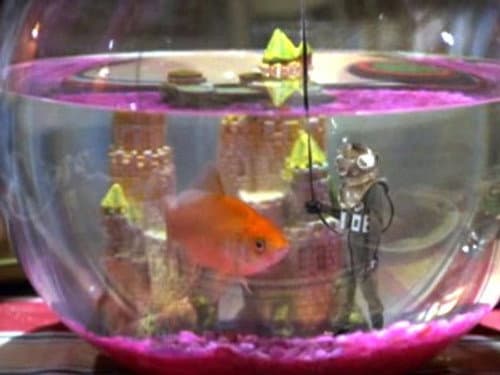 A Fish Tale