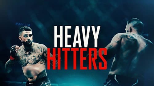 Heavy Hitters