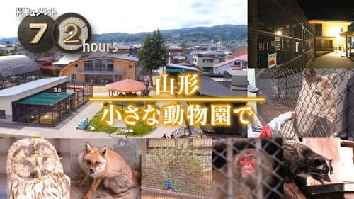 Yamagata At a small zoo