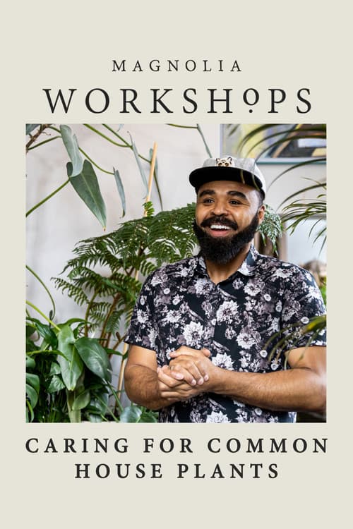 Magnolia Workshops: Caring for Common Houseplants poster