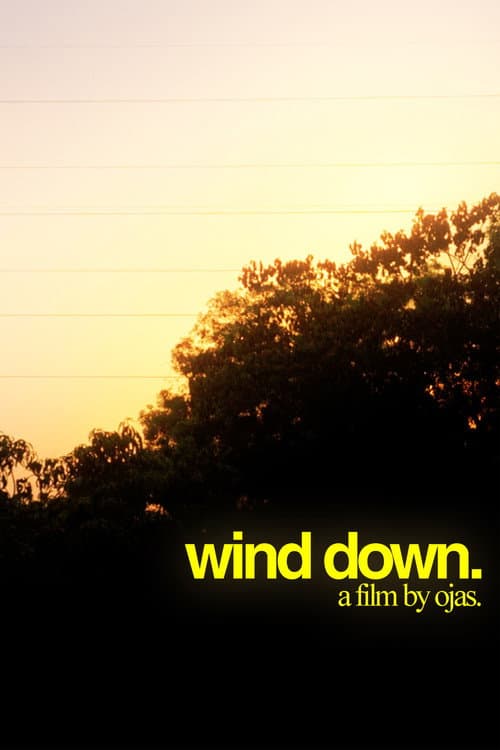 WIND DOWN. poster
