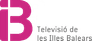 IB3