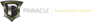 Pinnacle Sports, Media & Entertainment