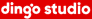 Dingo Studio