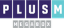 Plus M Entertainment