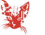 Indie Film AS