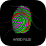Hybrid Pulse