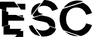 Electric Shadow Company