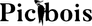 Picbois Productions