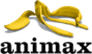 Animax Entertainment