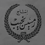 أفلام رمسيس نجيب