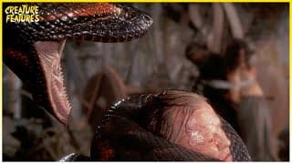 Human Bait For The Brutal Anaconda