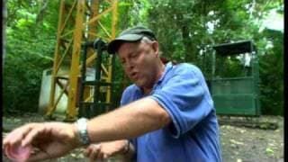 ANIMAL NATION - WORLD'S BIGGEST BADDEST BUGS