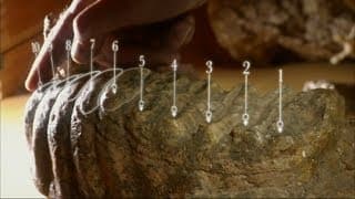 Teeth tell the story - Woolly Mammoth: Secrets from the Ice - BBC Two