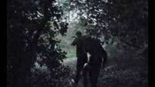 Dark Woods