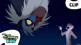 Timon Gets Advice From Rafiki