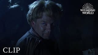 Gilderoy Lockhart Loses His Memory