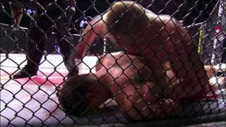 Brock Lesnar: Best of the Beast