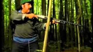 Holler Creek Canyon Trailer