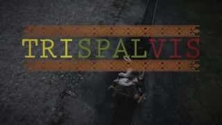 V.V.Landsbergio dokumentinis filmas "Trispalvis"
