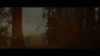 TV Spot 10