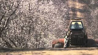 More Than Honey - Official Trailer
