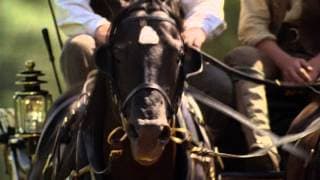 Black Beauty - Trailer
