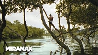 Looking for Paradise
