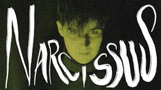 Narcissus
