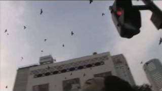 Trailer:『occult』