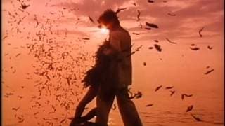 Picnic (1996) // Bande-annonce (VO)
