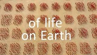 BBC One Earth From Space Trailer