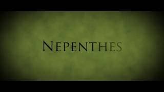 Nepenthes Trailer