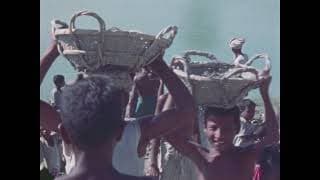 Surviving Cyclones (1973)