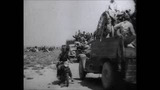 Caudillo (1974),de Basilio Martín Patino