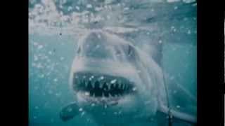 Ron & Valerie Taylor's Inner Space - Trailer