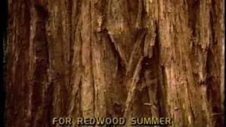 Redwood Summer: Where the 90s Begin