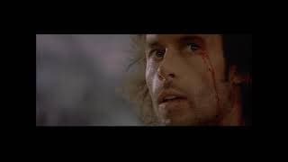 International Trailer