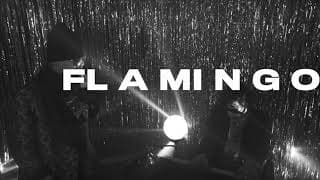 La Vida Boheme - Flamingo (Tiempo Compartido)