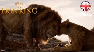 True King TV Ad